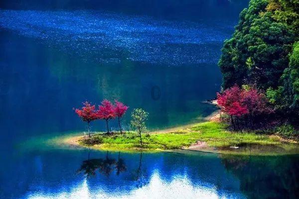 春雨直播app