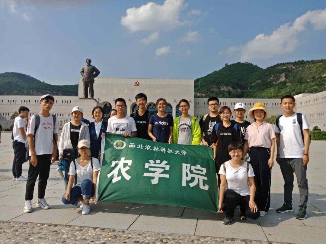 全民烧脑3去广告版
